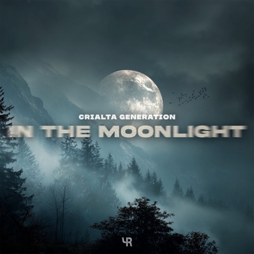 In The Moonlight