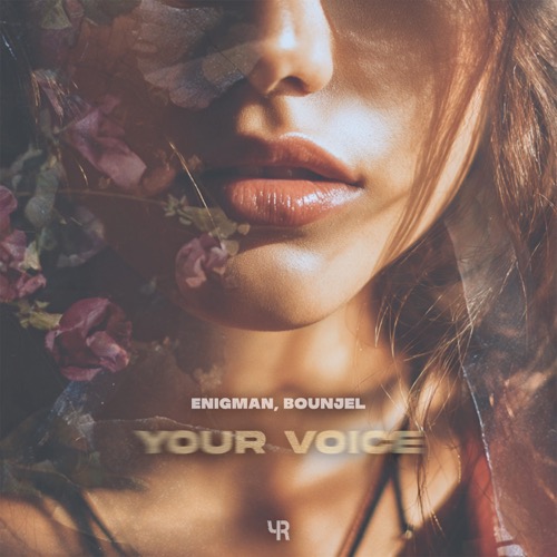 Your Voice