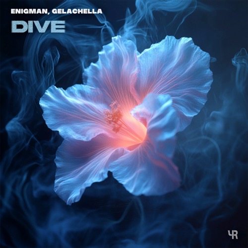 Dive