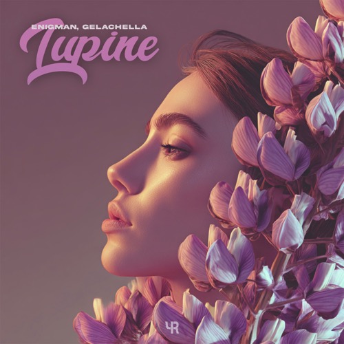 Lupine