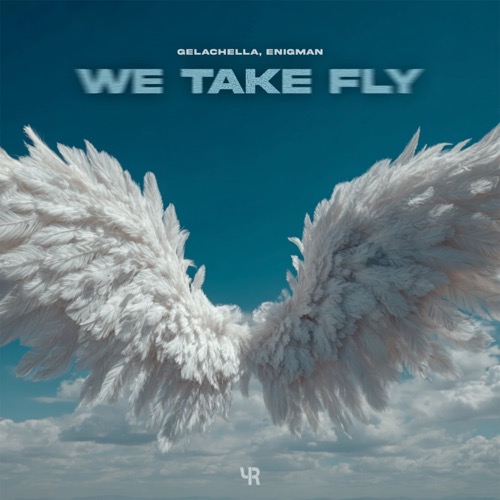 We Take Fly