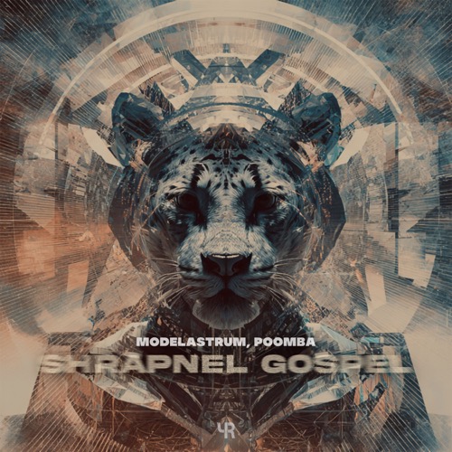 Shrapnel Gospel