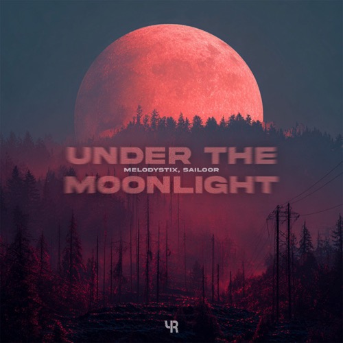 Under The Moonlight
