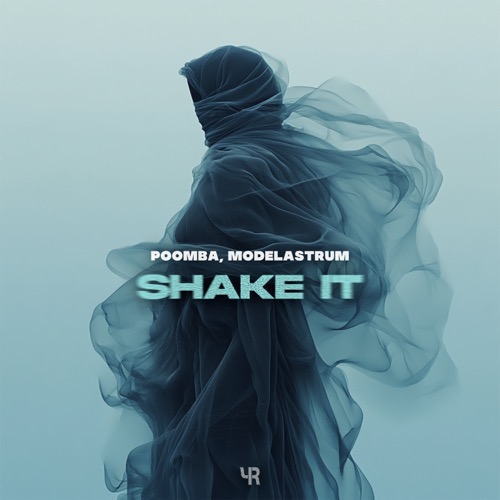 Shake It