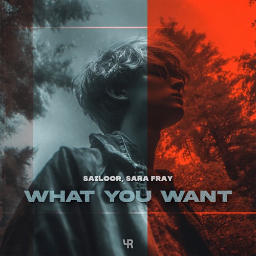 What You Want