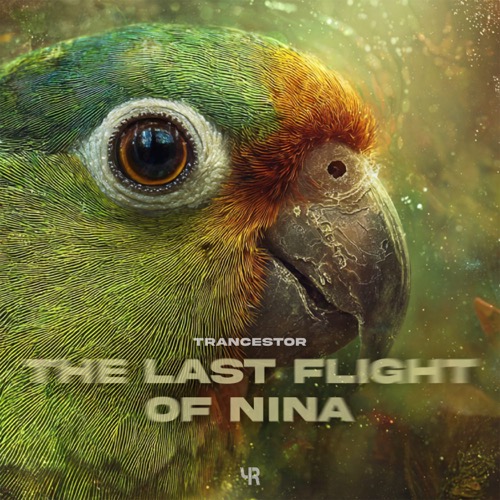 The Last Flight Of Nina